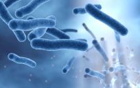 Hygiene and the prevention of water-related infections